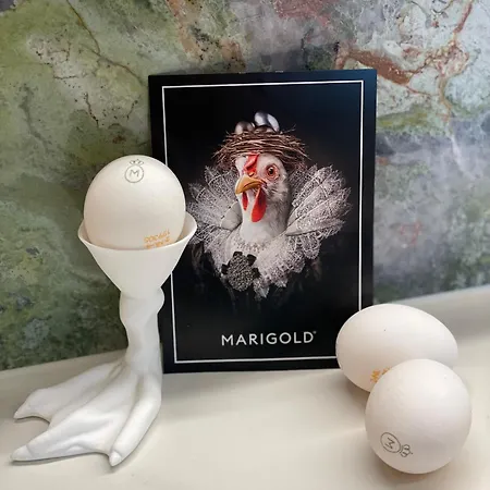 Bed & Breakfast Per Sea Koksijde